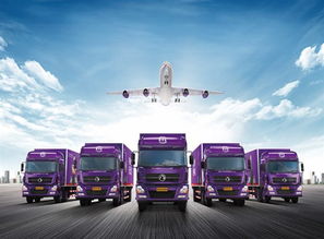 城市配送运输服务 市场研究、物流资讯与产品网络的三维透视